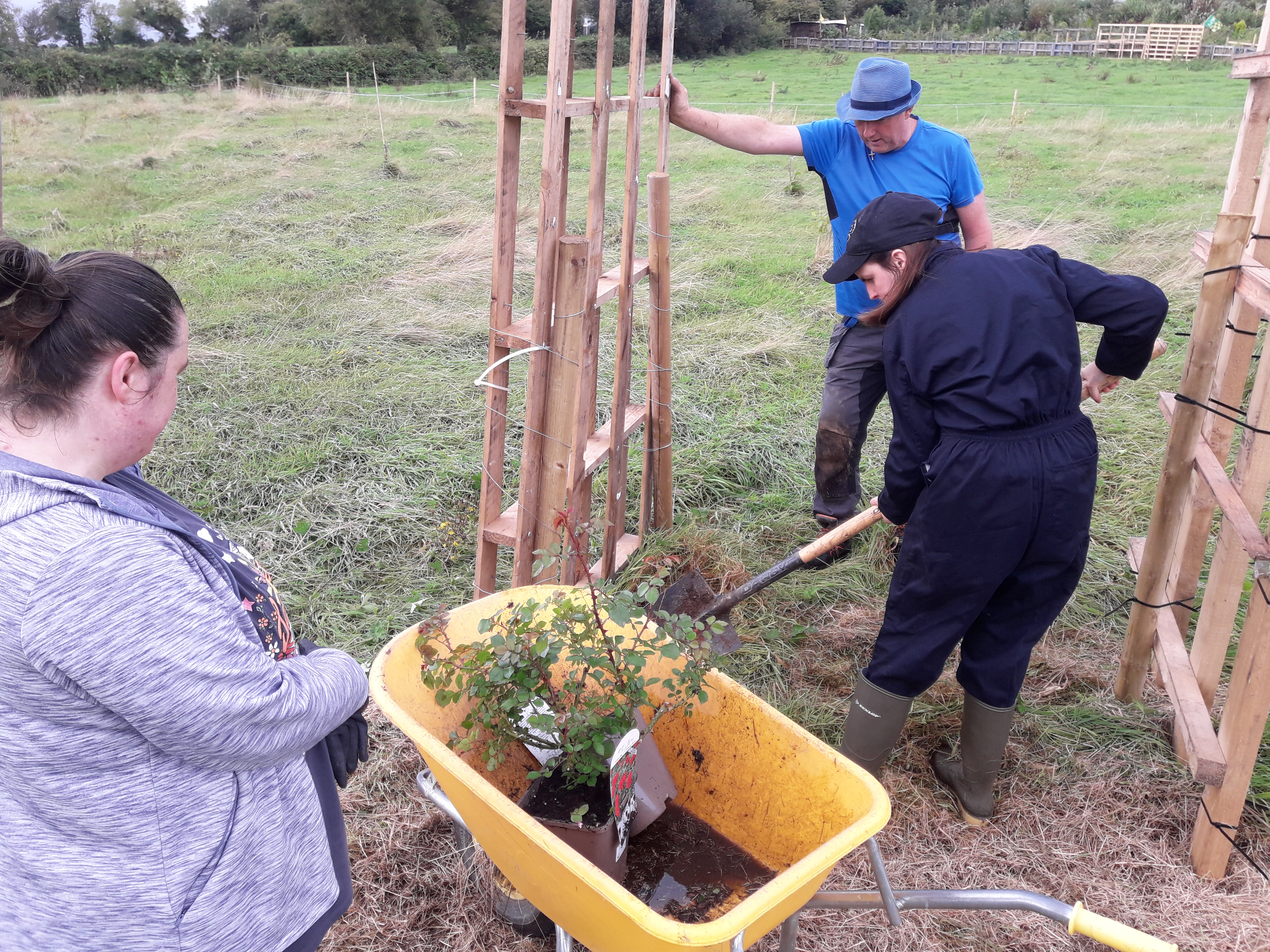 Kerry Social Farming